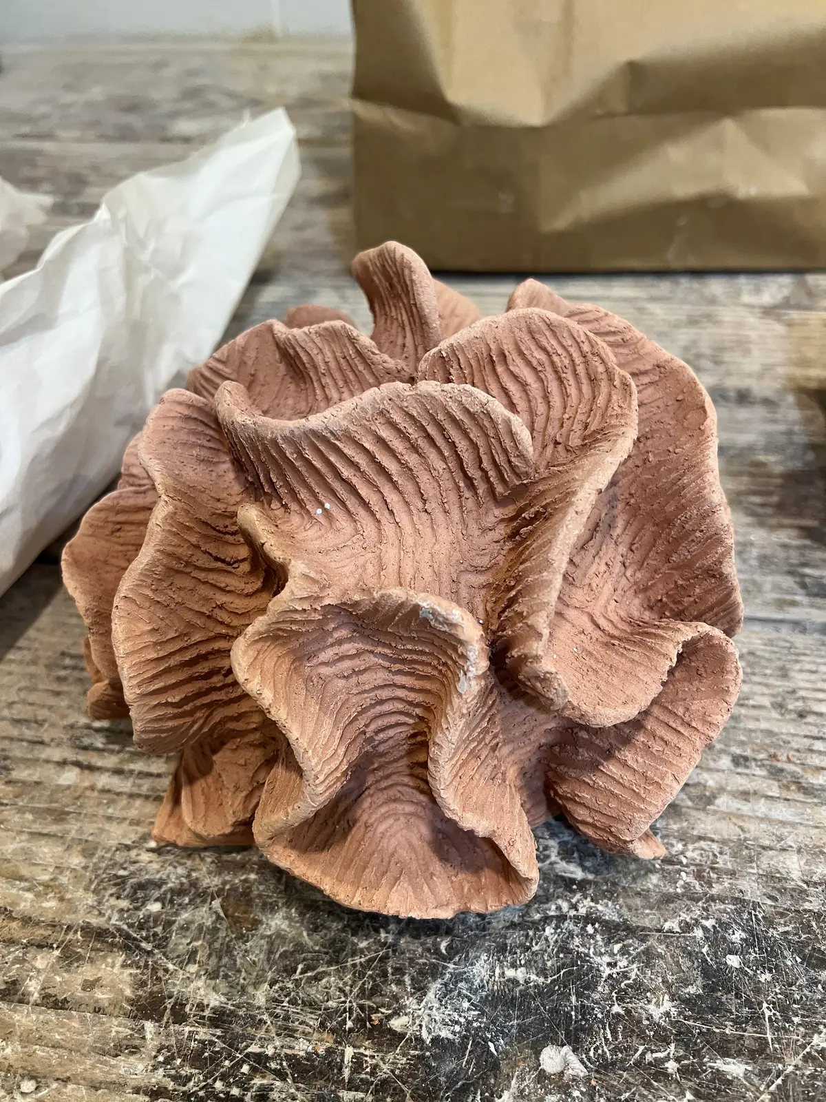 Bisque fired coral